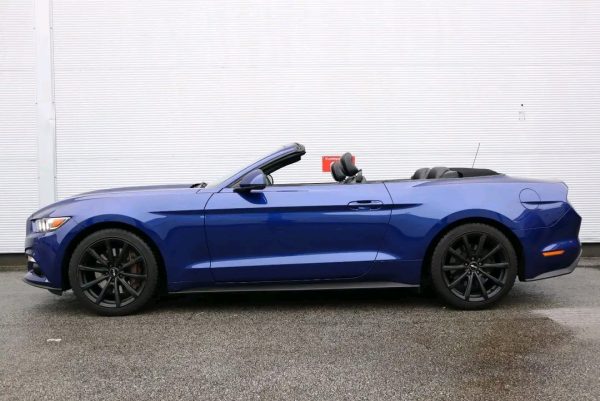 Ford Mustang - Image 2